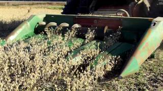 Ultra Late Soybean Harvest 30 quot Rows Row Crop Header [upl. by Latsyrhk]