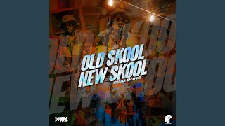 Old Skool New Skool [upl. by Anoyek109]