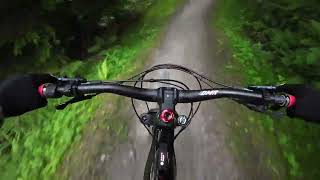 Hamsterley forest first time on the giant reign e 2 poor footage [upl. by Annuhsal741]