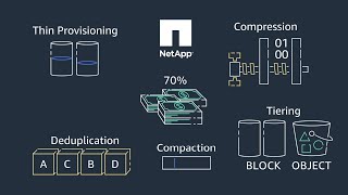 Data Management Services from NetApp Cloud Volumes ONTAP for AWS [upl. by Gean542]