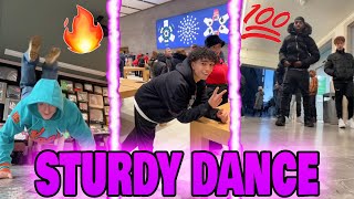 Sturdy Dance V11 🔥💯🌍  TikTok Compilation [upl. by Yaned330]