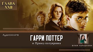 Гарри Поттер и Принцполукровка 22 глава  После похорон  Аудиоспектакль  Аудиокнига [upl. by Neil]