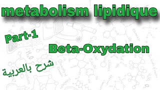 Part1  metabolism lipidique  Betaoxydation  درس الميتابوليزم بالعربية [upl. by Sivram824]