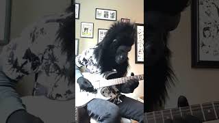 Whitesnake Love Ain’t No Stranger  solo  music guitar solo [upl. by Lahey692]