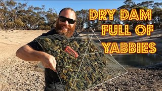 EMPTY DAM with heaps of YABBIES CATCH n COOK Louisiana boil up [upl. by Benjamin]