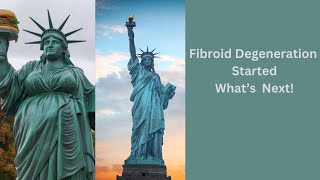 What Happens When Uterine Fibroid Degeneration Starts [upl. by Lellih]