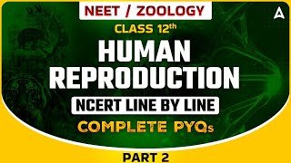 HUMAN REPRODUCTION CLASS 12  NEET 2024  NCERT LINE BY LINE WITH COMPLETE PYQs  ZOOLOGY BY SANKALP [upl. by Karlotte]