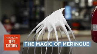 Science The Magic of Meringue—Why Timing Matters When Whipping Egg Whites and Sugar [upl. by Ayocal929]