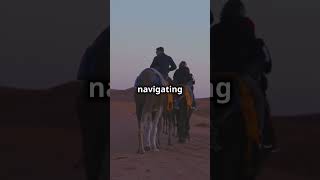 Discover the Tuareg Nomads of the Sahara  Arcane World Adventure [upl. by Esilehs]