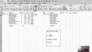 Diversity Calculation  Shannon diversity index and equitability in Excel [upl. by Akimrehs286]