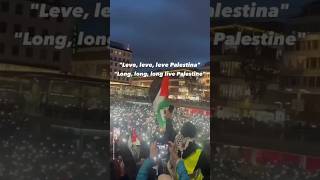 Swedish song “Leve Palestina” anthem for Palestine solidarity israel palestine vikings [upl. by Duester]