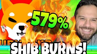 Shiba Inu Coin  The SHIB Burn Rate Explodes Higher [upl. by Kenwee]