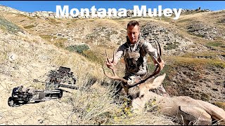 Montana Mule Deer Hunting 2024 [upl. by Noram]