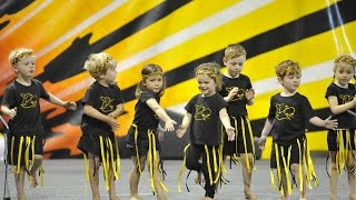 Paikea Kindergarten Turanganui Schools Kapa haka Festival [upl. by Ettennal]