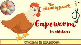 Gapeworm in chickens [upl. by Eloken]