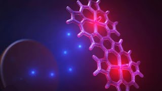 Biochemistry1 porphyrin [upl. by Loggins176]