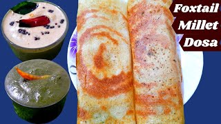 Instant Foxtail Millet Dosa  Learn Millet Dosa in just 3 mins  Terrace Kitchen  Breakfast Recipe [upl. by Jillana988]