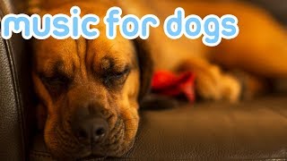 10 HOURS Deep Separation Anxiety Music for Dogs Chill Your Dog 247 [upl. by Hoo983]