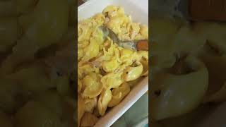 Creamy cheesy pasta  food pasta recipe yummy deliciousfood [upl. by Wawro807]