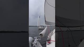 Sailing Sleepy Dog Catalina 25 passing Sirius 21 [upl. by Eirac887]