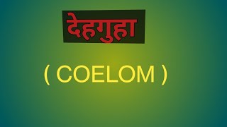 Coelom  देहगुहा Bodycavity [upl. by Varden]