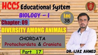 Chordata  Protochordata amp Craniata  Part XVII  Chapter 9  1ST YEAR  Dr IJAZ  LEC38 [upl. by Suivat]