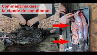 Comment maximiser la viande dun dindon sauvage débitage  Maximizing Wild Turkey Meat [upl. by Dohsar]