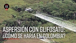 Glifosato Gobierno presenta hoja de ruta para volver a la fumigación aérea  El Espectador [upl. by Essyle]