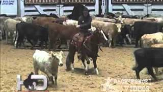 SDP Buffalo Ranch  Hydrive Cat 2006 NCHA Futurity Open Reserve CHAMPION [upl. by Iolanthe]