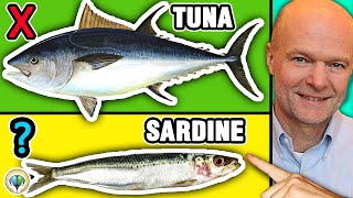 Top 5 Best Fish You Should NEVER Eat amp 5 Fish You Must Eat [upl. by Trefor]