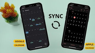 How to Sync Google Calendar With iPhone Calendar 2024 [upl. by Leong399]