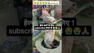 Mata Rani Jo Aaj like subscribe Karega uski manokamna Puri hogi😭👍 [upl. by Ahselak]