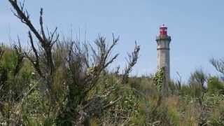 Cartes MICHELIN  allez plus loin que votre route sur l’île de Ré [upl. by Eve]