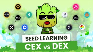 CEX vs DEX How to Choose the Best Exchange for your Crypto  SEED Learning 8 [upl. by Aciamaj]