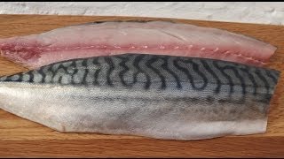 How To Fillet A MackerelAnd Cook It In Real TimeMackerel [upl. by Aicil]