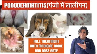 Pododermatitis in dogsTreatment of redness in paw of dogsDog के paws infection home treatment [upl. by Edrick993]