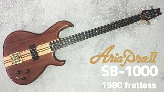 Aria Pro II SB1000 fretless DEMO [upl. by Lleraj]