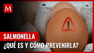 Salmonella ¿Qué es y por qué es importante prevenirla [upl. by Edyaj]