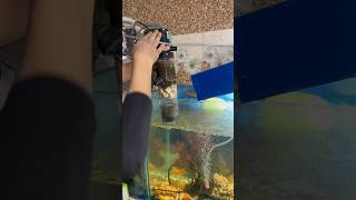 Power filters ko clean kardiya aquariumfilter aquariumpets aquarium petsvlog petfish goldfish [upl. by Zetrac]