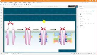 5  Pharmacodynamics spare receptors and graded dose response curve [upl. by Ynar]