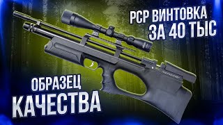 KRAL PUNCHER BREAKER 3 ПНЕВМАТИЧЕСКАЯ ВИНТОВКА PCP за 40 тыс рублей ДЛЯ ОХОТЫ СПОРТИВНОЙ СТРЕЛЬБЫ [upl. by Acinod]