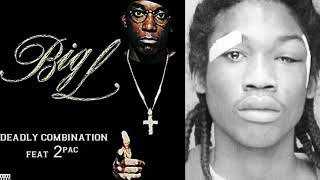 Same Deadly Meek Meek Mill X Big L Mashup [upl. by Cirala]