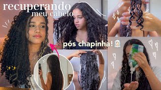 recuperando meu cabelo pós chapinha ✨💆🏻‍♀️ [upl. by Prouty458]