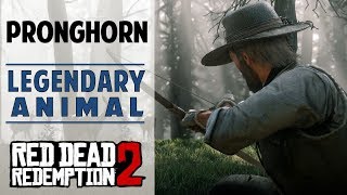 Legendary Pronghorn  How to Track Find amp Kill Legendary Animal  Red Dead Redemption 2 [upl. by Demaggio]