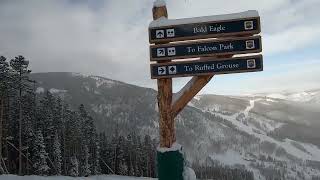 Skiing Beaver Creek  Bald Eagle  01162023 POWPOW Day [upl. by Aryl]