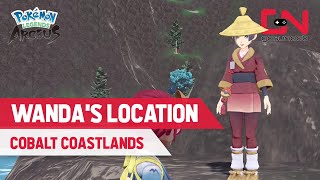 Pokemon Legends Arceus Where to Find WANDA in the COBALT COASTLANDS [upl. by Celeste]