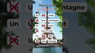 Masculin ou féminin  Test yourself [upl. by Mima]