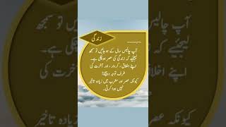 Urdu Islamic QuotesUrdu QuotesShorts VideoIslamic QuotesUrdu PoetryViral [upl. by Volnak205]