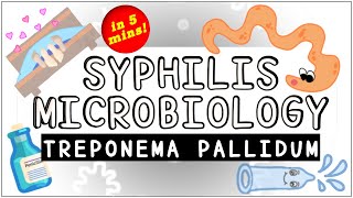 Syphilis Treponema pallidum Microbiology All you need to know [upl. by Annoved760]