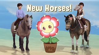 Rune Runner Buying 2 New Horses D Star Stable [upl. by Marcille]